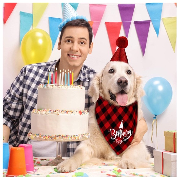COPY - 6 Pieces Dog Birthday Party Supplies Include 2 Pieces Dog Birthday Banda… - Picture 3 of 7